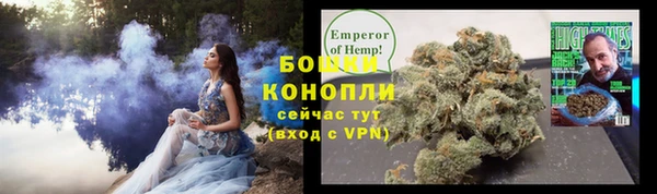 мдпв Касимов