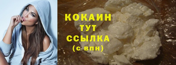 мдпв Карпинск