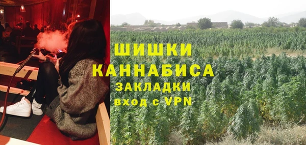 мдпв Касимов