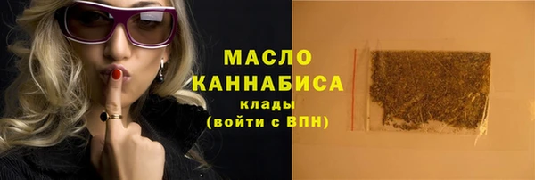 мдпв Карпинск