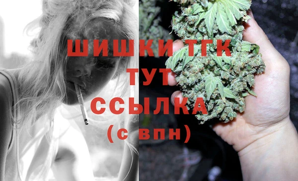мдпв Карпинск