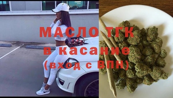 мдпв Карпинск