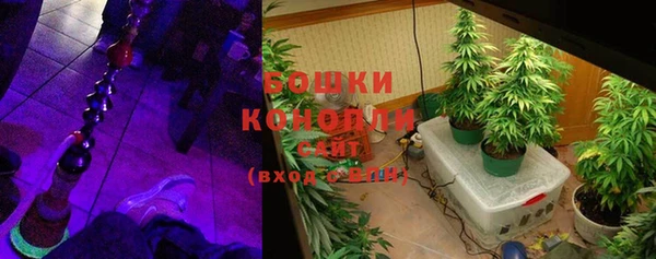 мдпв Карпинск