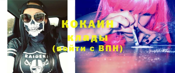 мдпв Карпинск